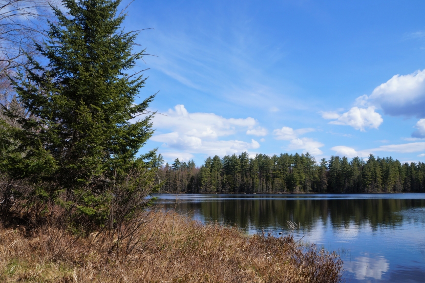 LEONARD POND SOUTH COLTON NY Nature Up North
